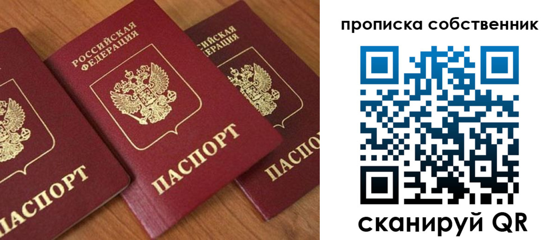 прописка 2025 в Элисте